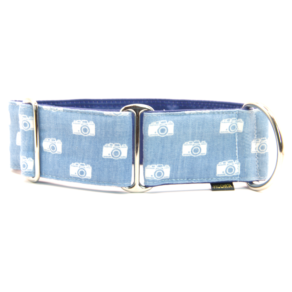 Náhled ProChrta.cz Bavlněný obojek PHOTOGRAPHER 4 cm M