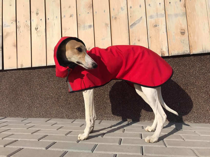 Náhled ProChrta.cz Pláštěnka softshellová RED DELICIOUS