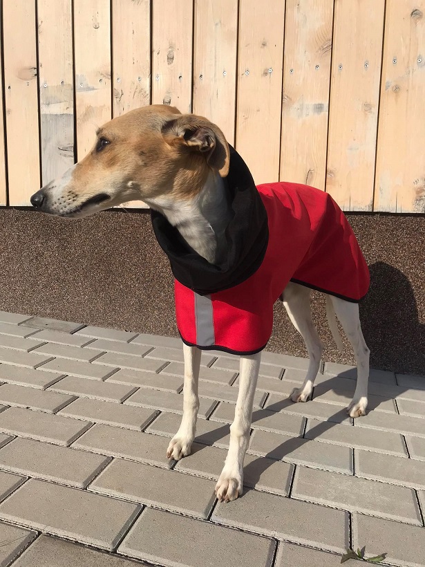 Náhled ProChrta.cz Pláštěnka softshellová RED DELICIOUS