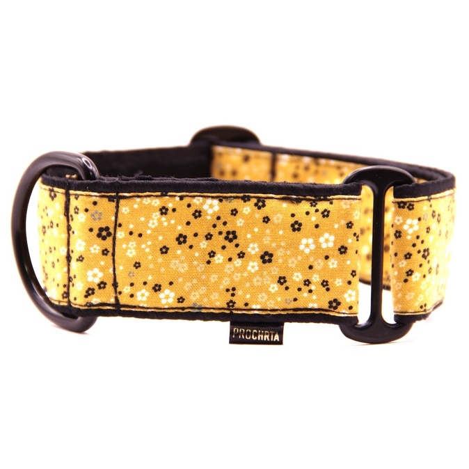 Náhled ProChrta.cz Bavlněný obojek Mustard Flower 4 cm L