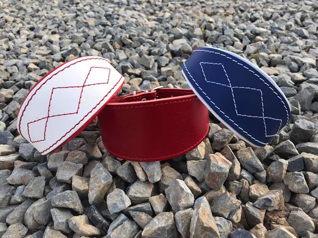 Náhled ProChrta.cz Kožený obojek SIMPLY CASUAL RED