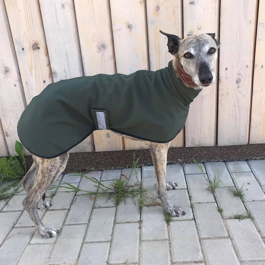 Náhled ProChrta.cz Softshellová bunda FOREST