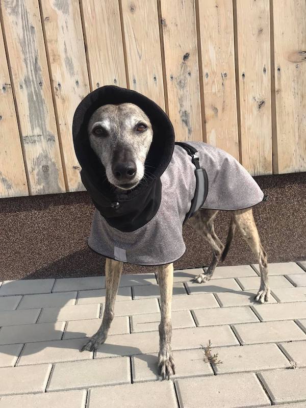 Náhled ProChrta.cz Bunda zimní softshell CITY 90 cm