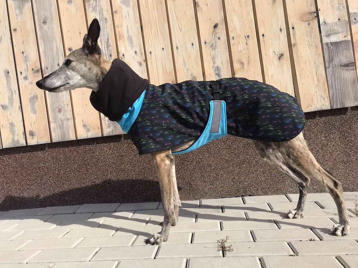 Náhled ProChrta.cz Bunda zimní softshell RAINBOW BLUE 60 cm