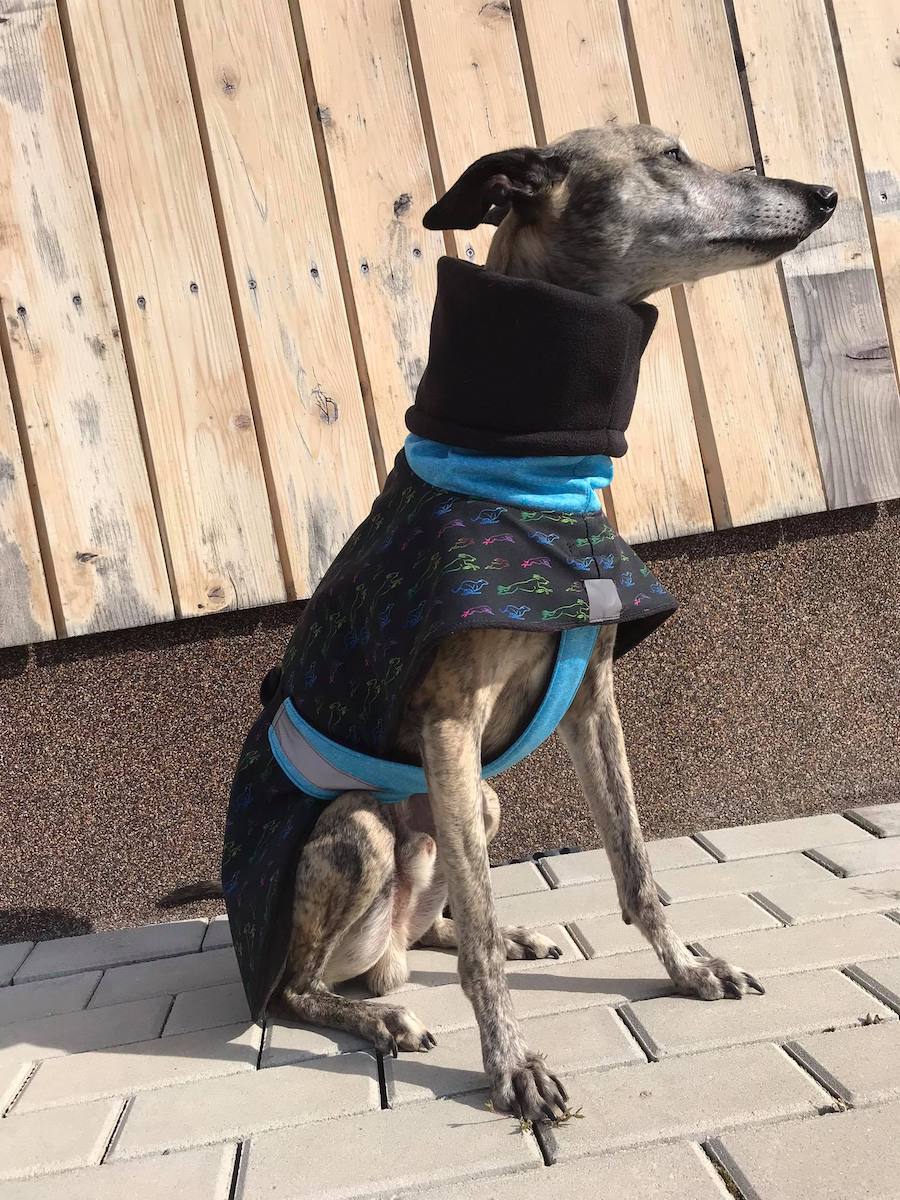 Náhled ProChrta.cz Bunda zimní softshell RAINBOW BLUE 38 cm