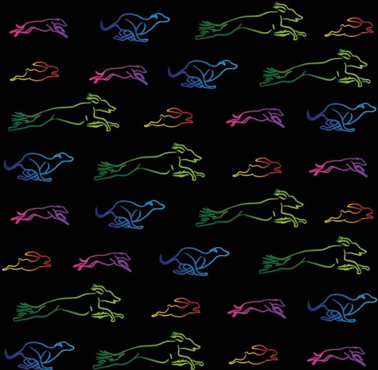 Náhled ProChrta.cz Bunda zimní softshell RAINBOW-B 60 cm