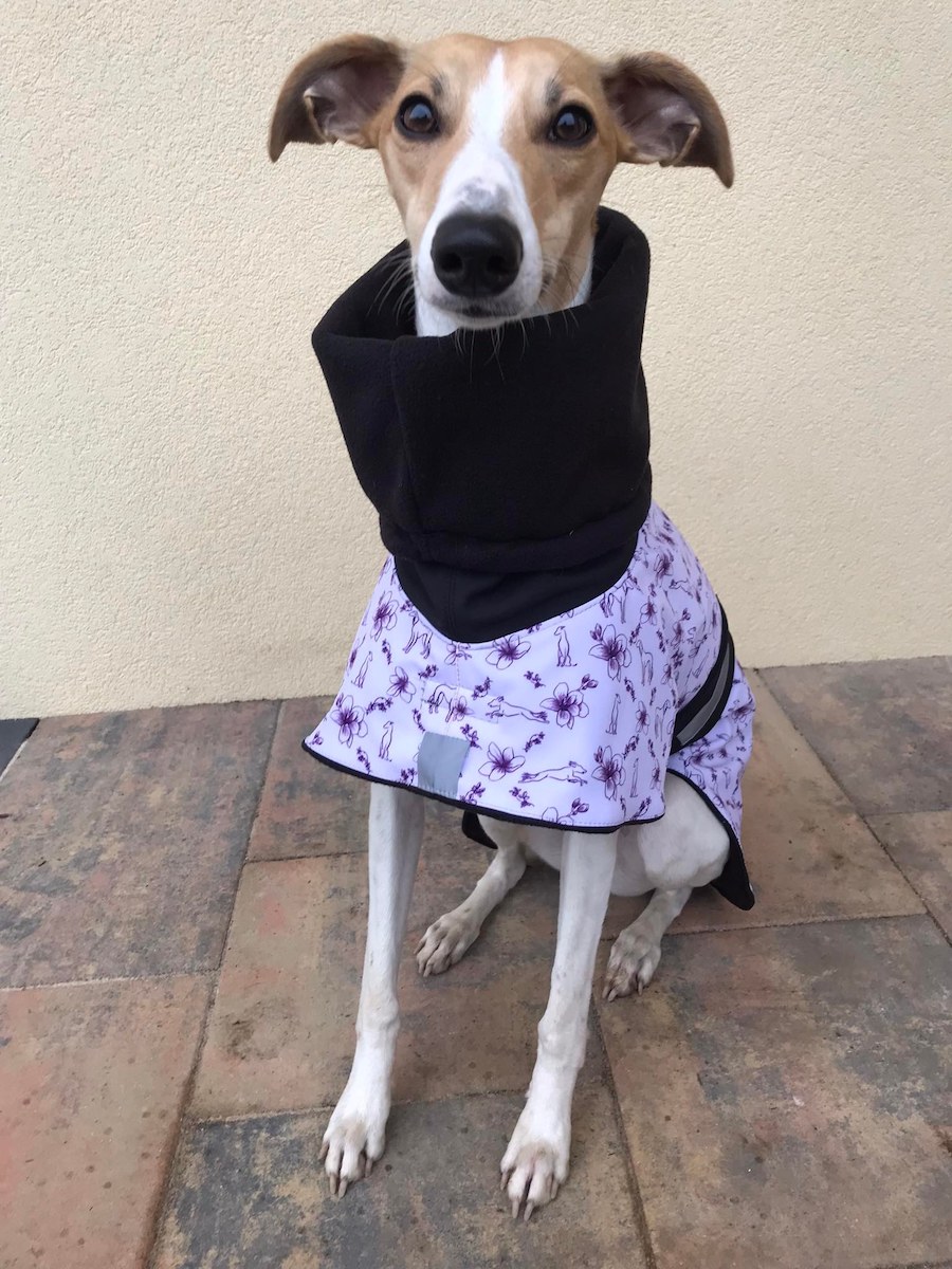 Náhled ProChrta.cz Bunda zimní softshell SWEETIE BLACK 38 cm