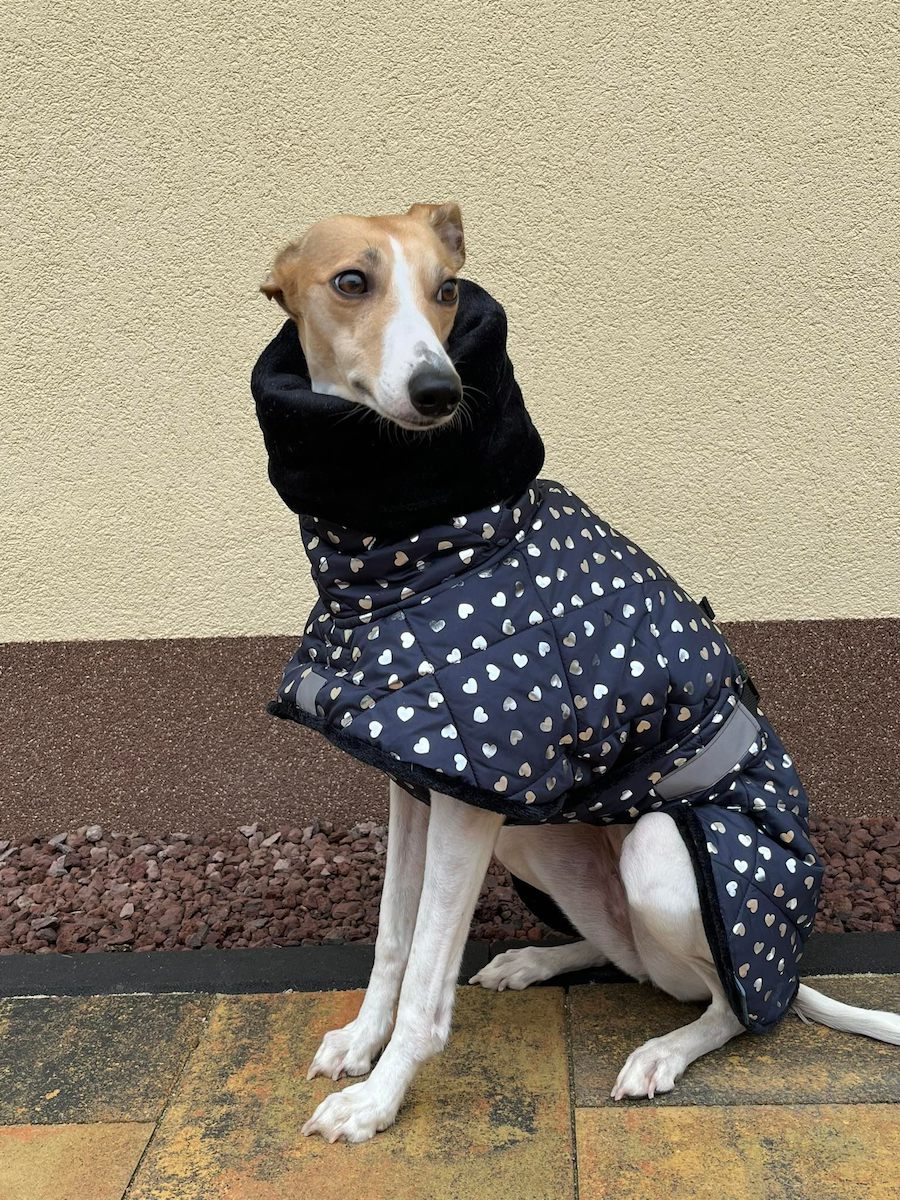 Náhled ProChrta.cz Bunda zimní prošev Hearts 40 cm