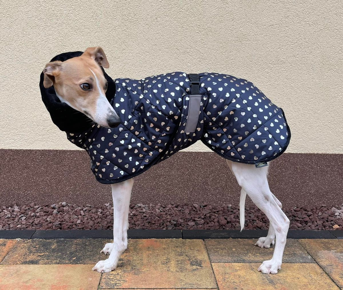 Náhled ProChrta.cz Bunda zimní prošev Hearts 45 cm