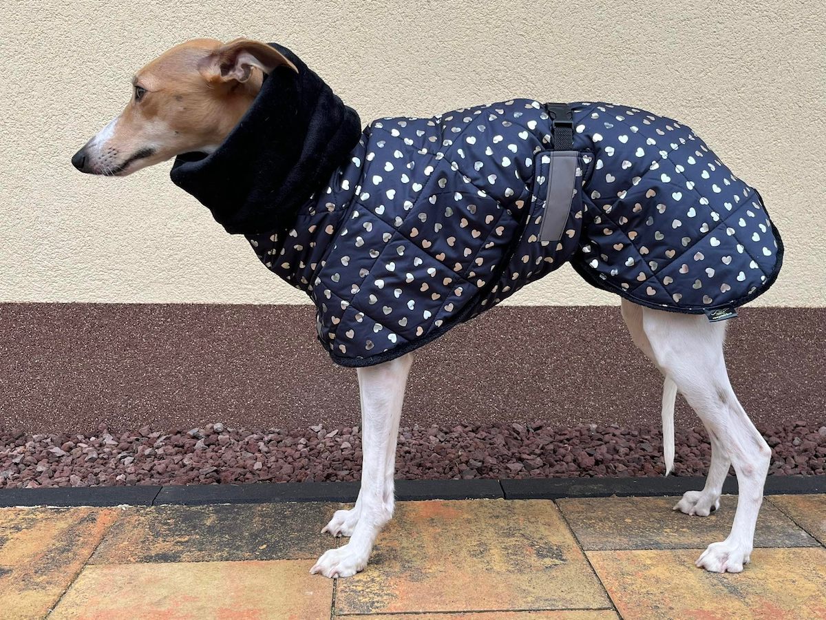 Náhled ProChrta.cz Bunda zimní prošev Hearts 60 cm