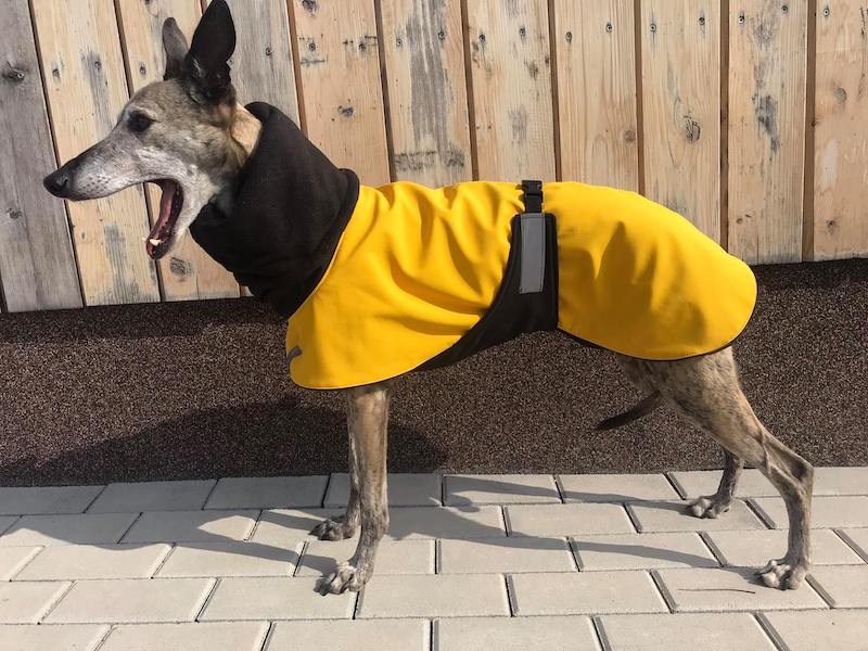 Náhled ProChrta.cz Bunda zimní softshell MUSTARD 100 cm