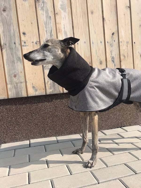 Náhled ProChrta.cz Bunda zimní softshell CITY 100 cm