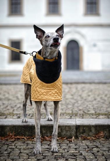Náhled ProChrta.cz Bunda zimní prošev/softshell MUSTARD 70 cm