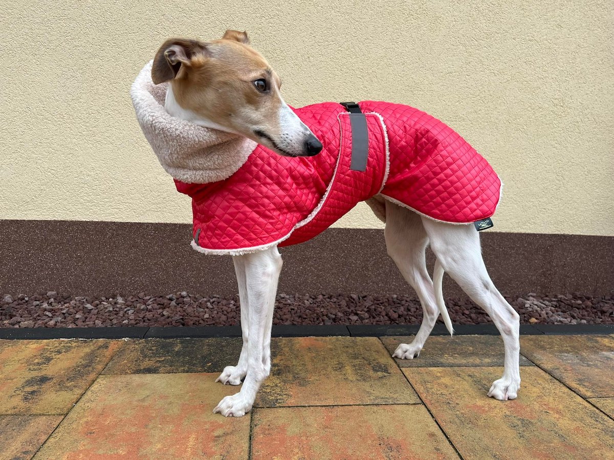 Náhled ProChrta.cz Bunda zimní prošev Red&Beige 35 cm