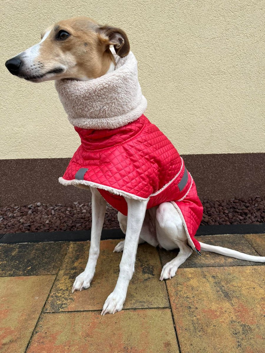 Náhled ProChrta.cz Bunda zimní prošev Red&Beige 38 cm