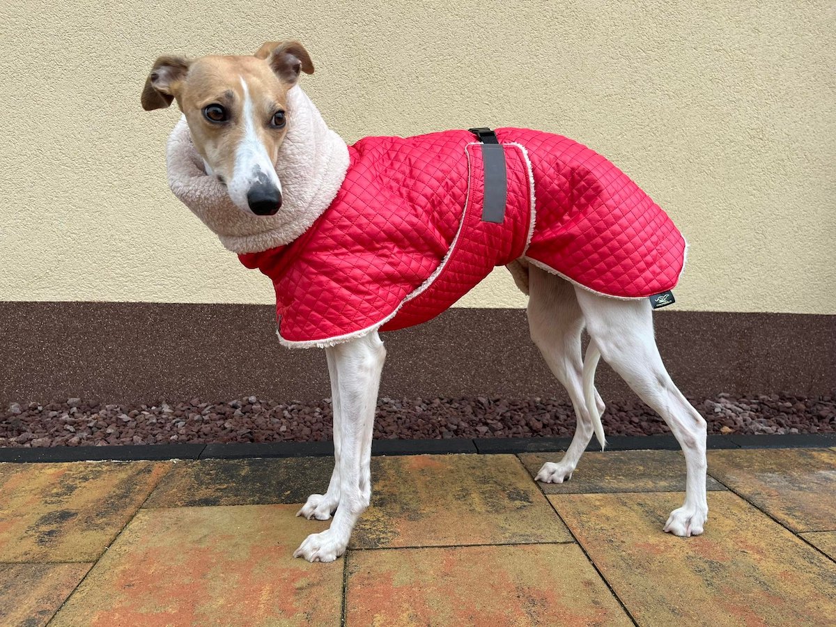 Náhled ProChrta.cz Bunda zimní prošev Red&Beige 40 cm