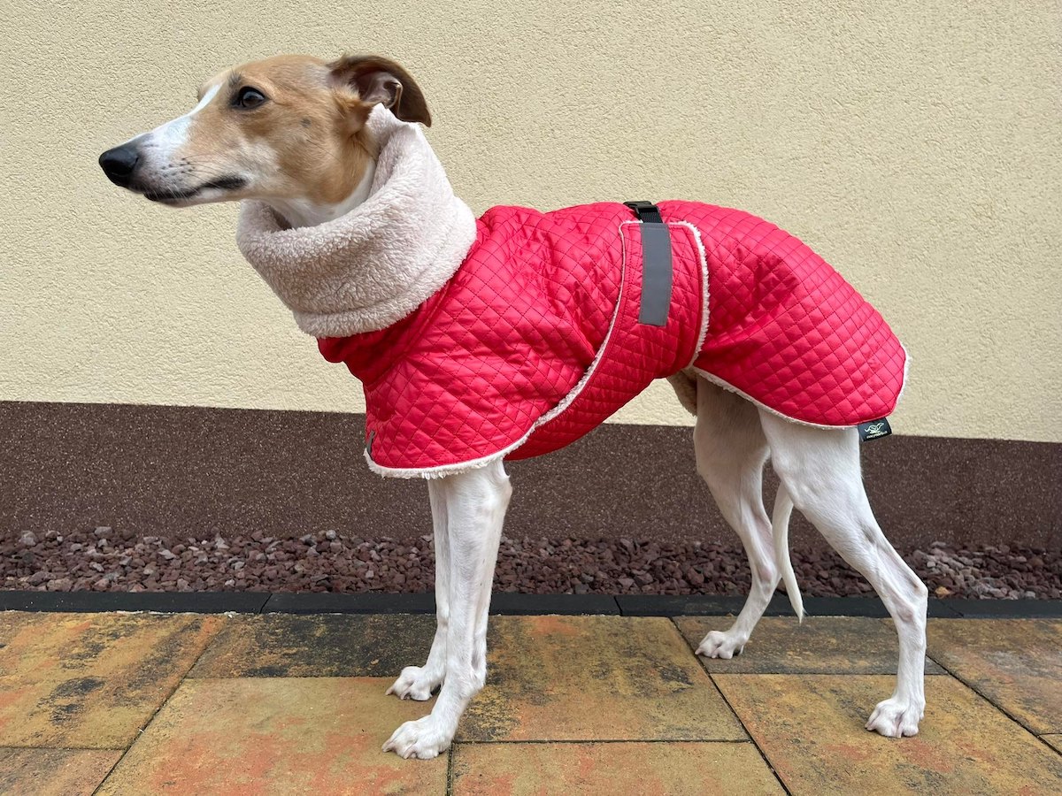 Náhled ProChrta.cz Bunda zimní prošev Red&Beige 55 cm