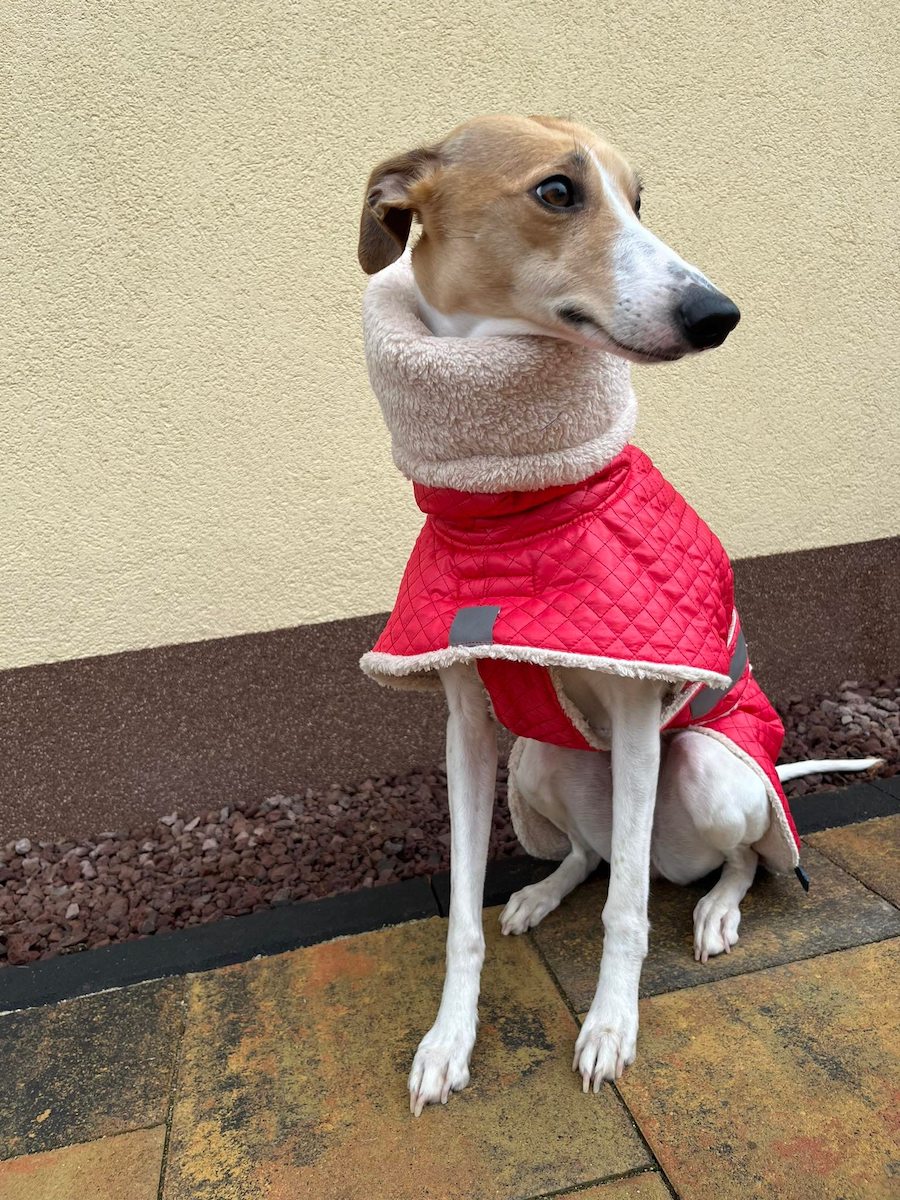 Náhled ProChrta.cz Bunda zimní prošev Red&Beige 60 cm