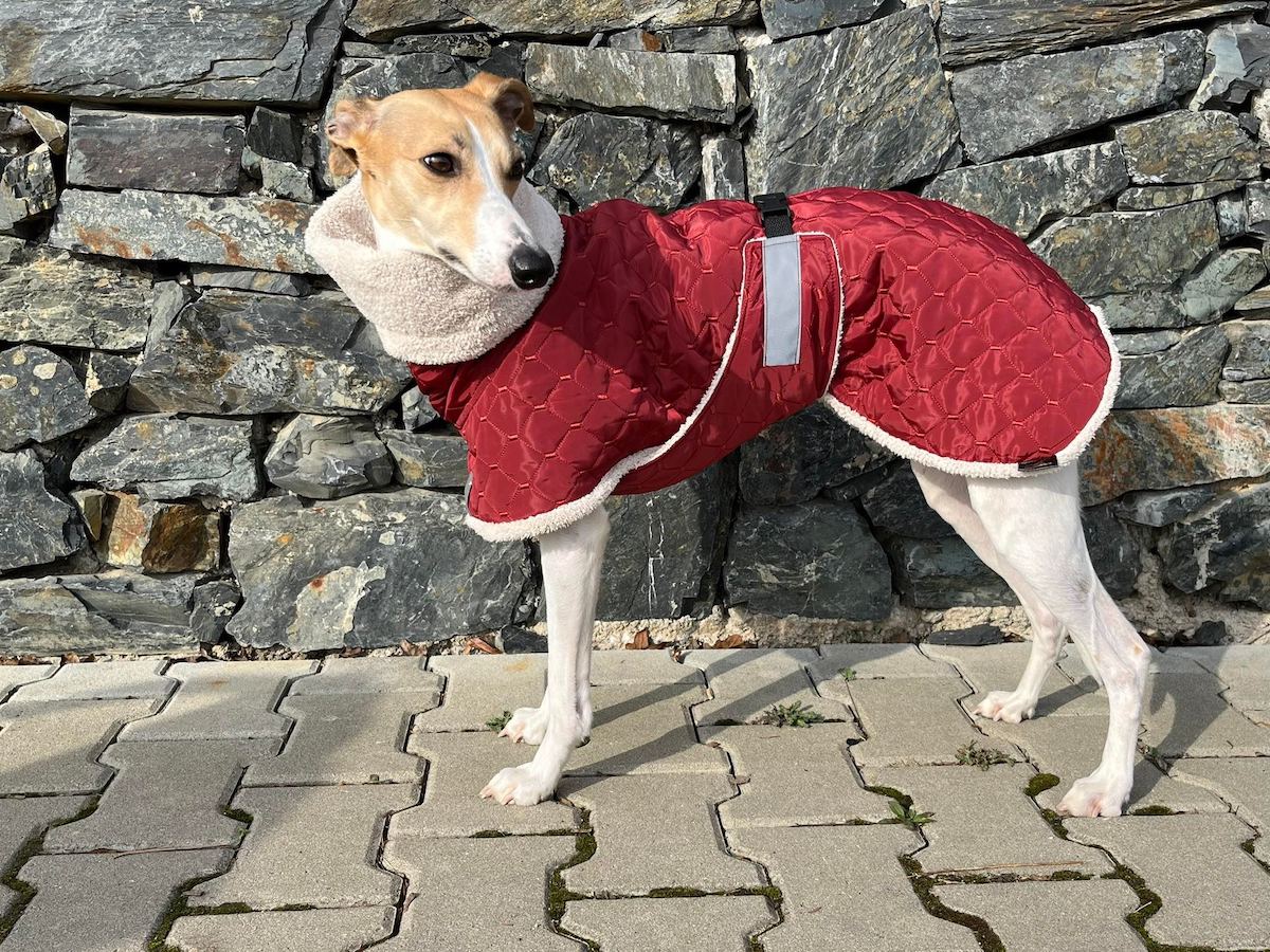 Náhled ProChrta.cz Bunda zimní prošev Rubin&Furry 35 cm