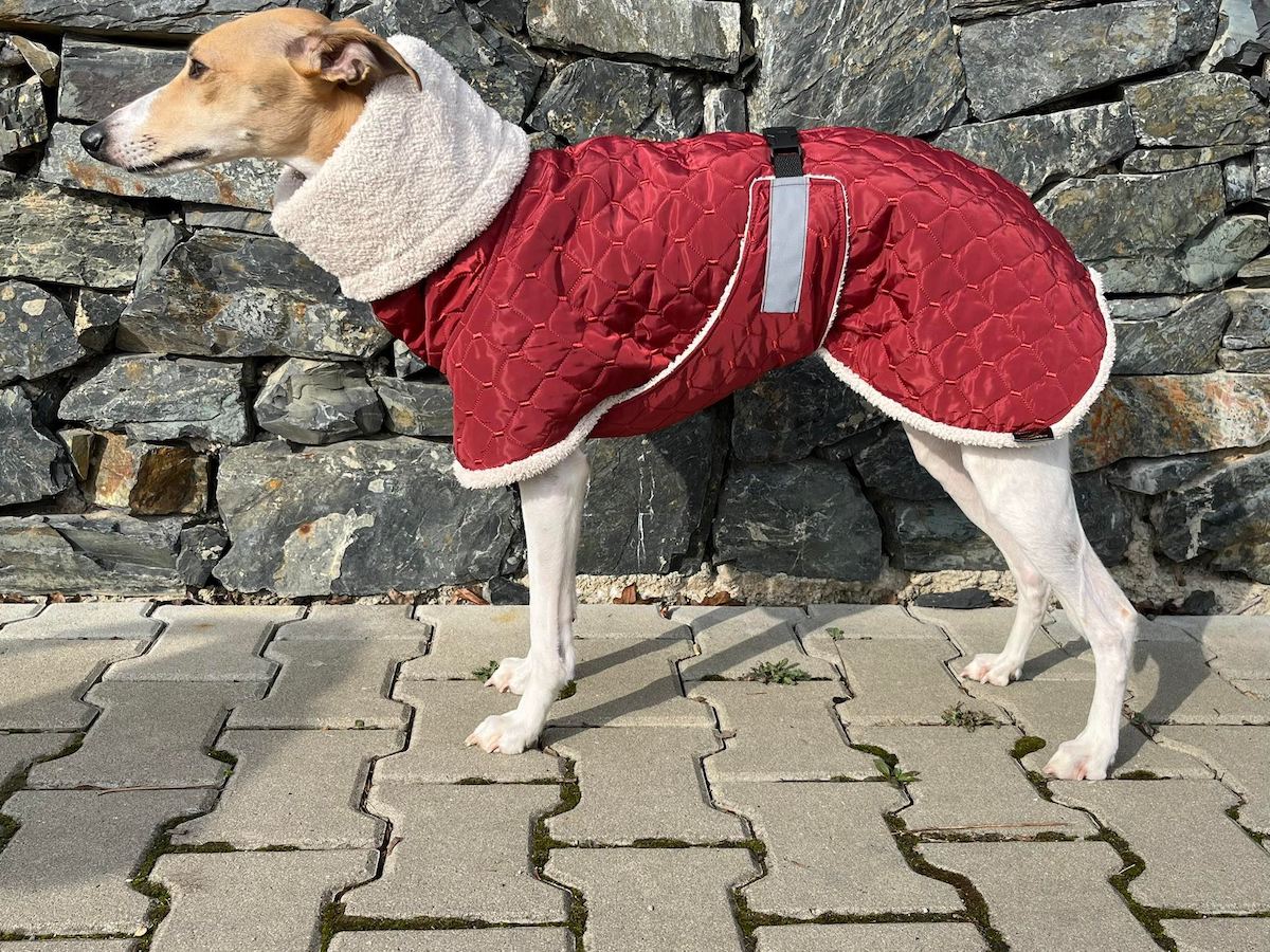 Náhled ProChrta.cz Bunda zimní prošev Rubin&Furry 40 cm