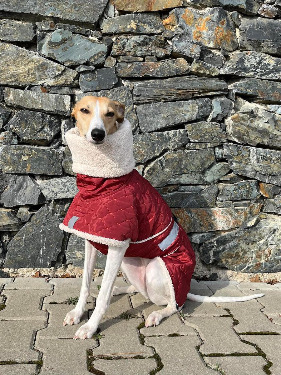 Náhled ProChrta.cz Bunda zimní prošev Rubin&Furry 55 cm