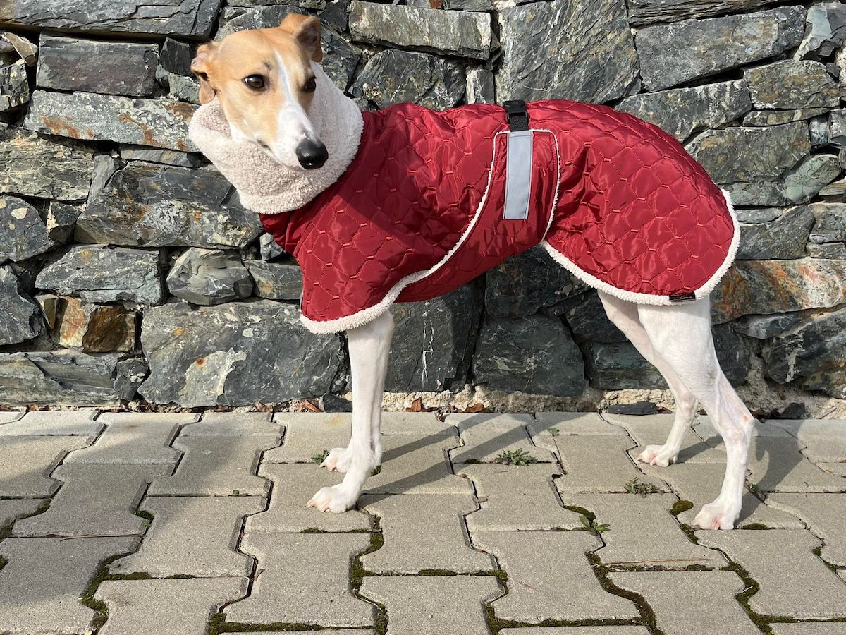 Náhled ProChrta.cz Bunda zimní prošev Rubin&Furry 60 cm