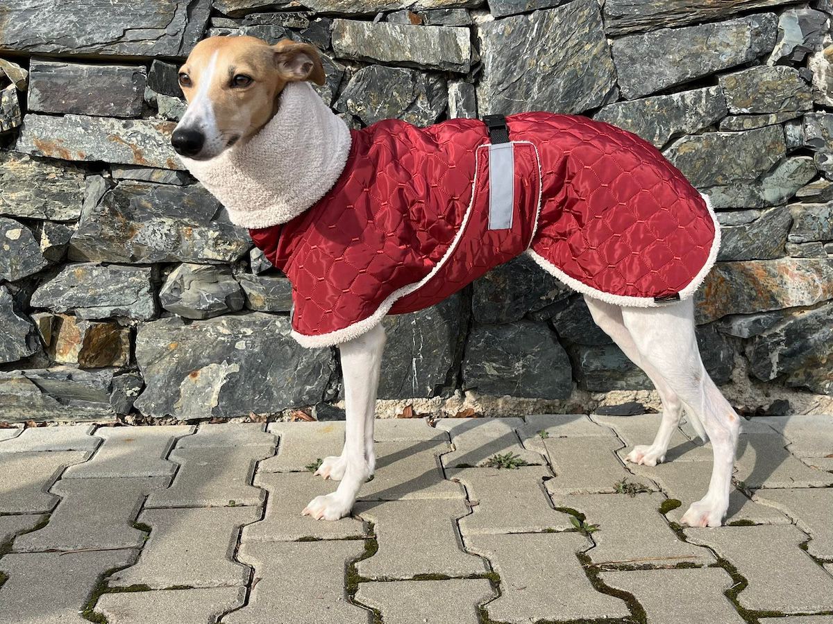 Náhled ProChrta.cz Bunda zimní prošev Rubin&Furry 60 cm