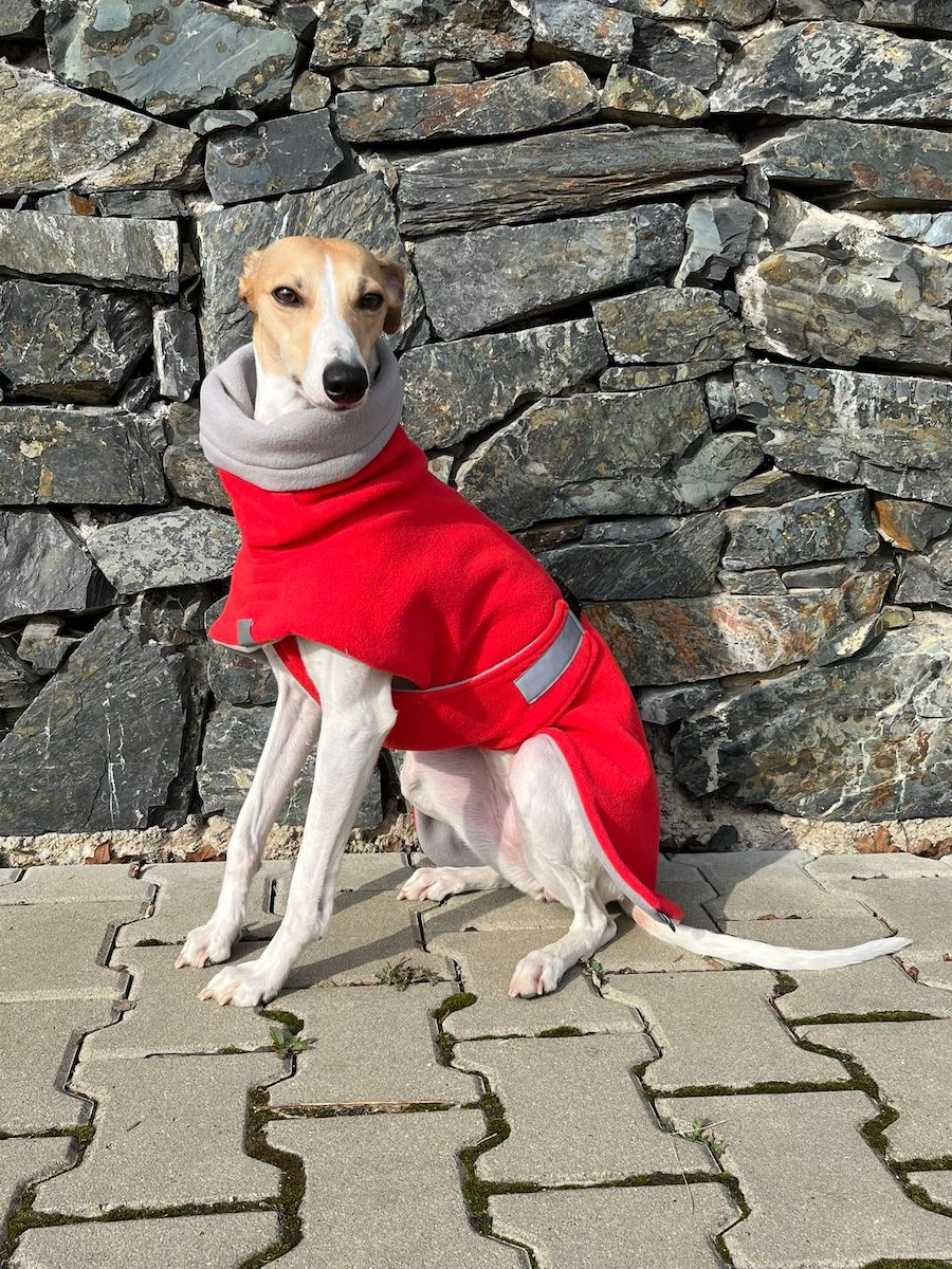 Náhled ProChrta.cz Bunda fleecová Midseason v mnoha barvách