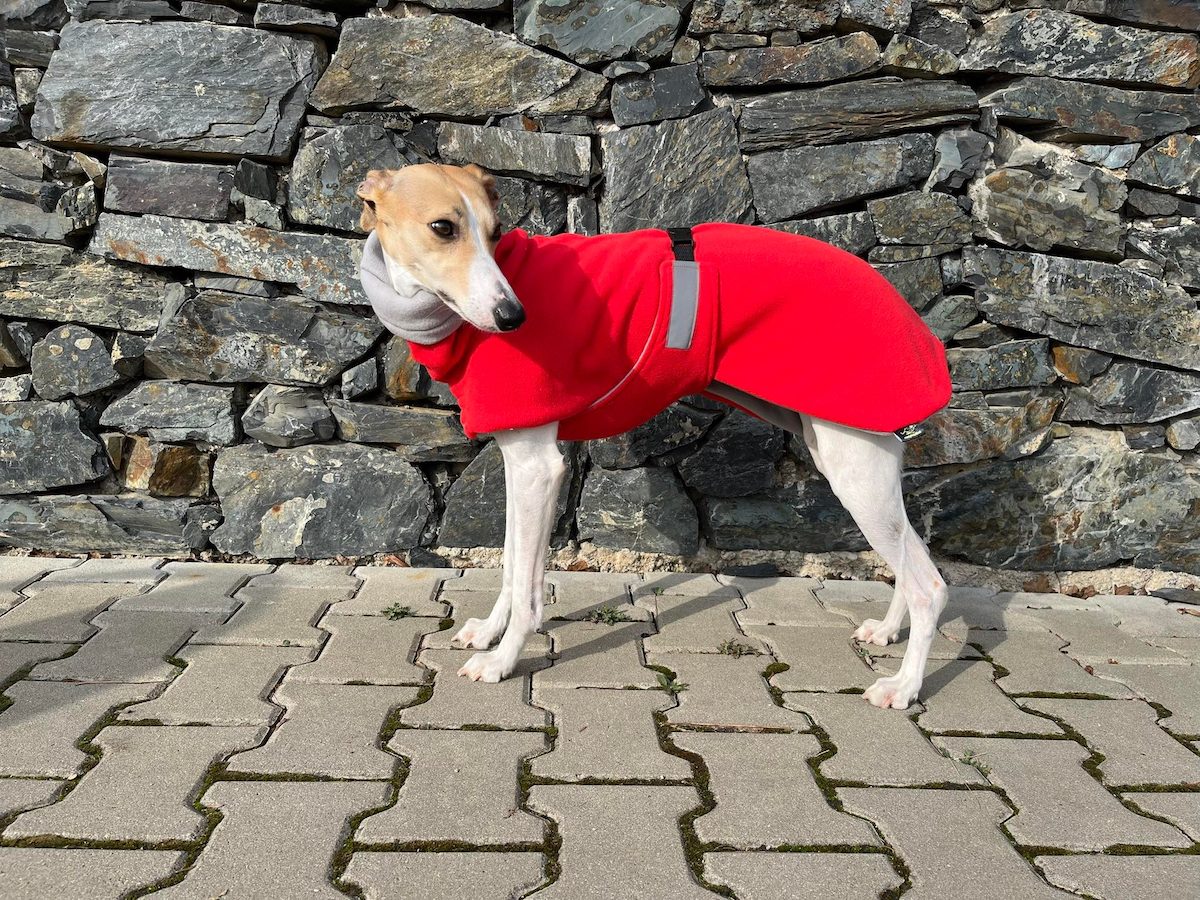 Náhled ProChrta.cz Bunda fleecová Midseason v mnoha barvách