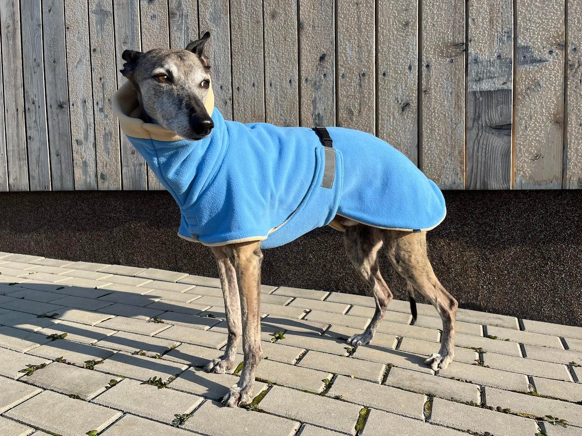 Náhled ProChrta.cz Bunda fleecová Midseason v mnoha barvách