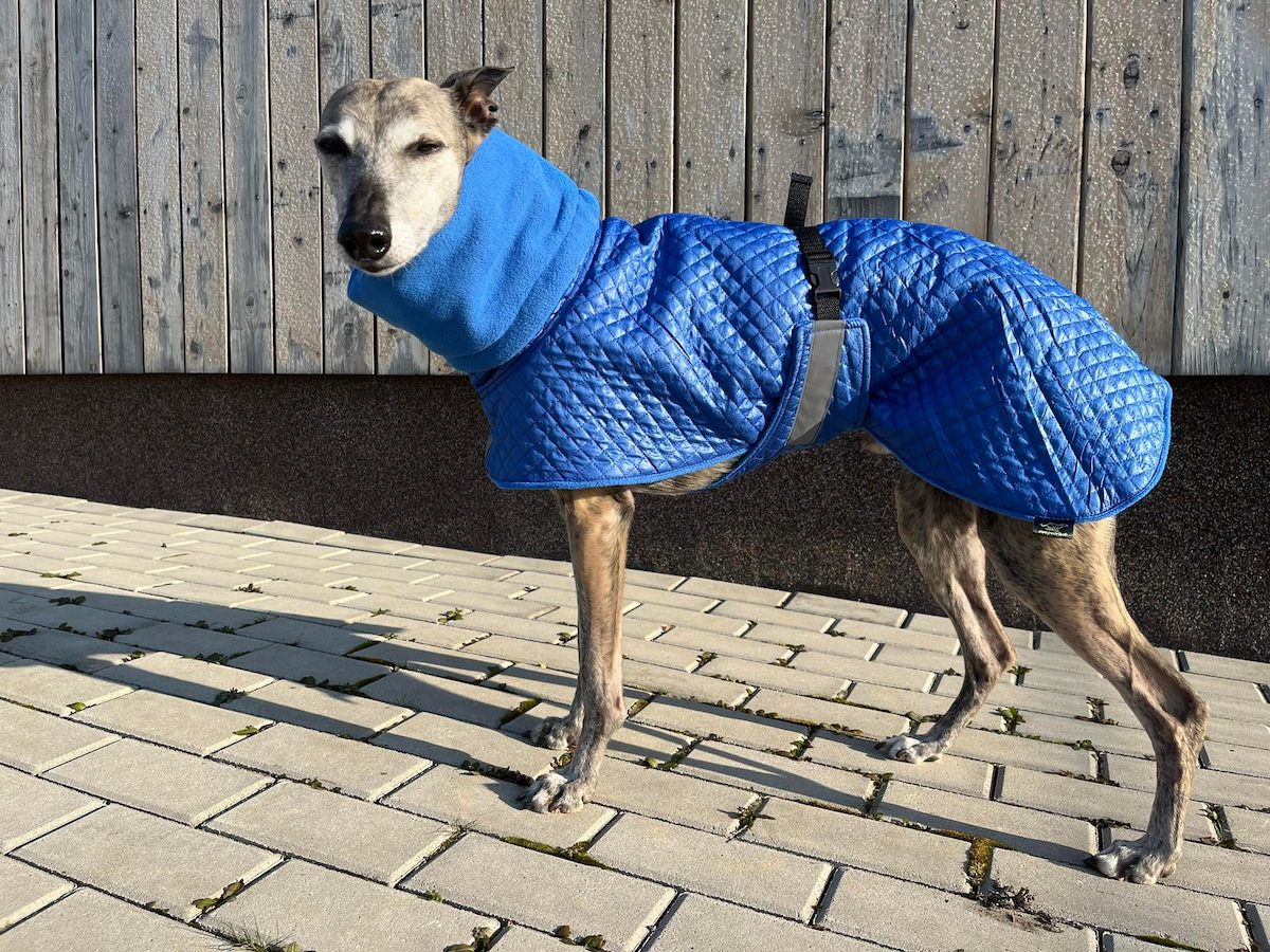 Náhled ProChrta.cz Bunda zimní prošev Blue&Polar 40 cm