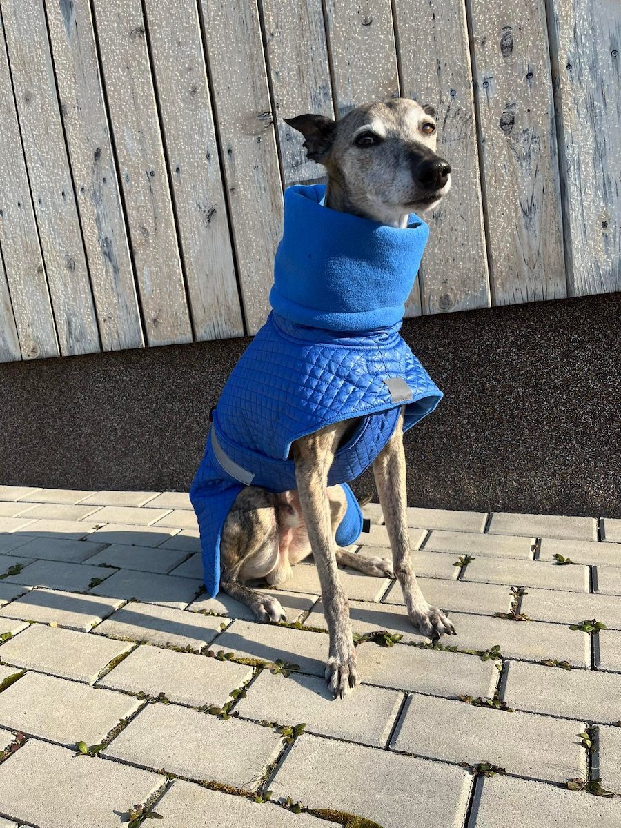 Náhled ProChrta.cz Bunda zimní prošev Blue&Polar 40 cm