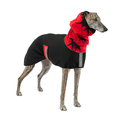 Pláštěnka softshellová pro chrty Duo - Black Wine Hound