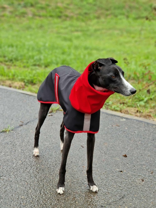 plastenka-softshellova-black-red-3278.jpeg