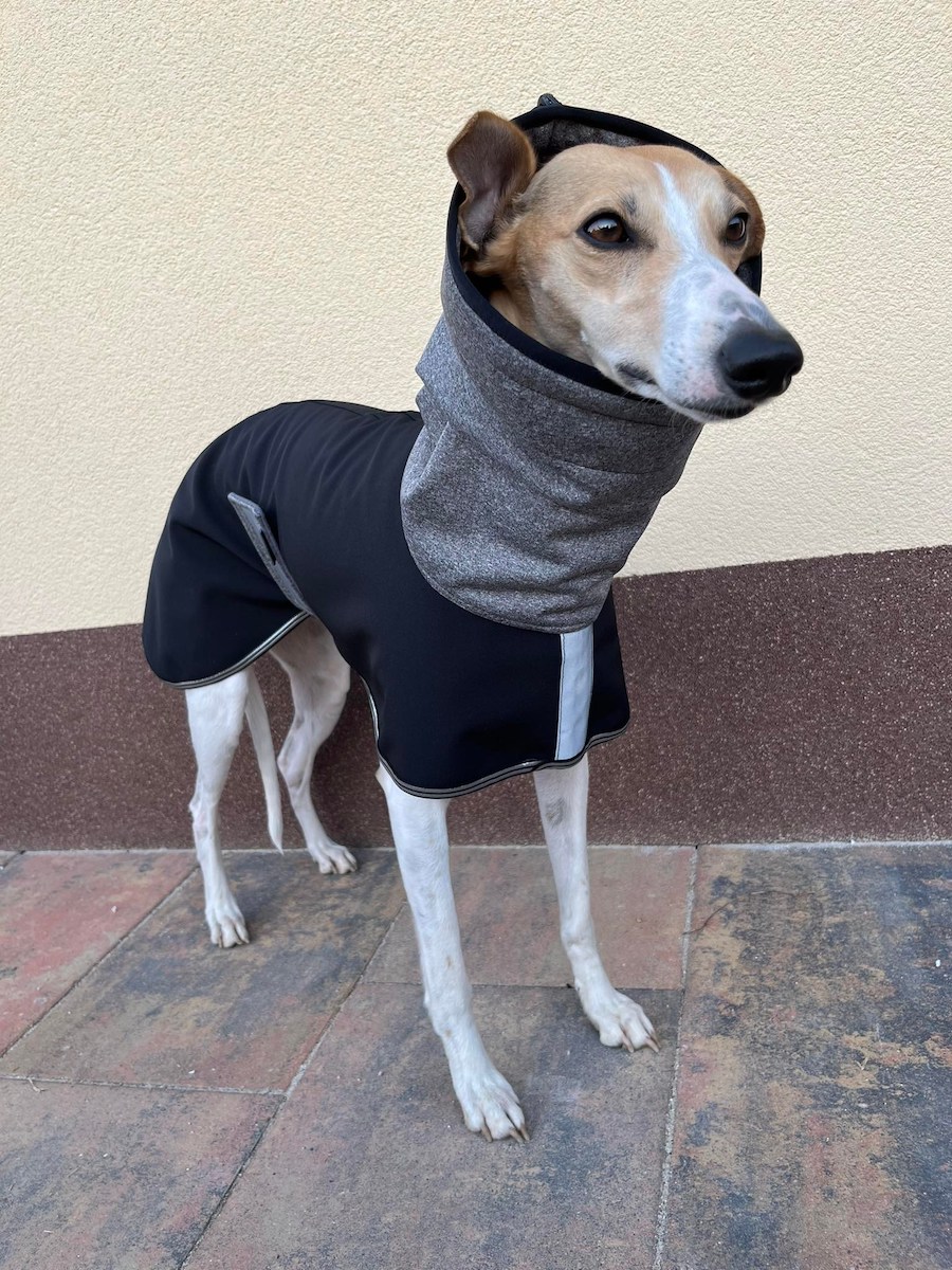 Náhled ProChrta.cz Pláštěnka softshellová BLACK CITY