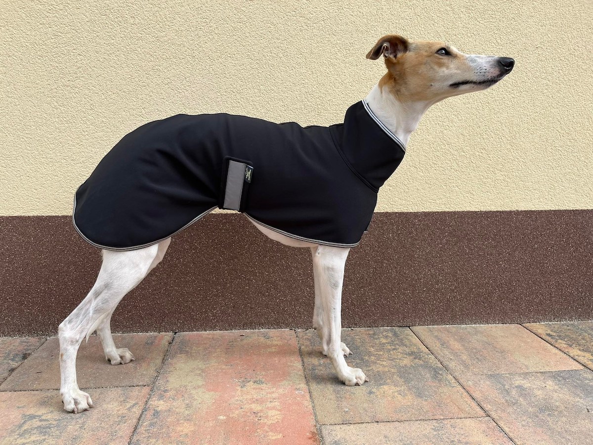 Náhled ProChrta.cz Softshellová bunda SILVER 60 cm