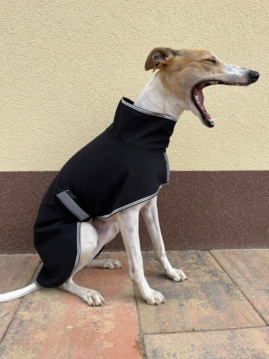 Náhled ProChrta.cz Softshellová bunda SILVER 75 cm