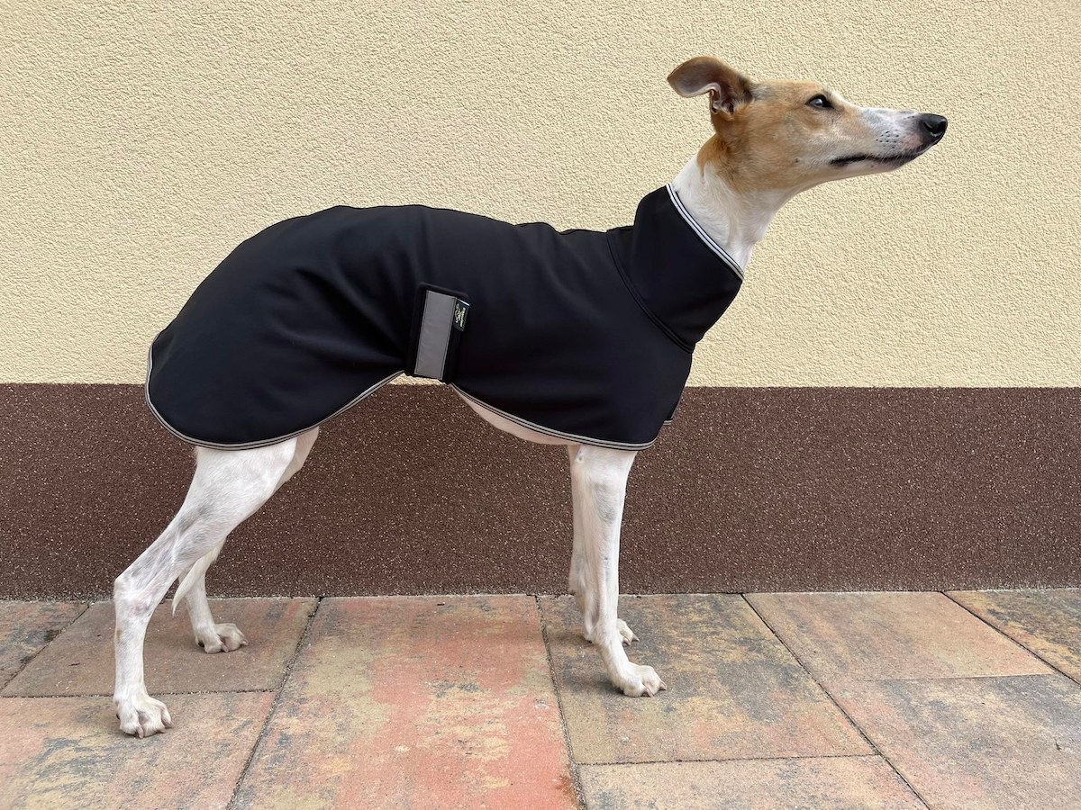 Náhled ProChrta.cz Softshellová bunda SILVER 80 cm