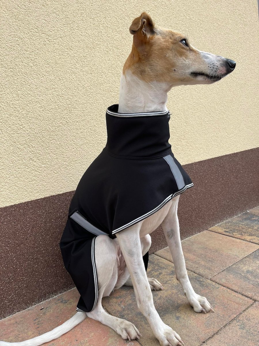 Náhled ProChrta.cz Softshellová bunda SILVER 95 cm