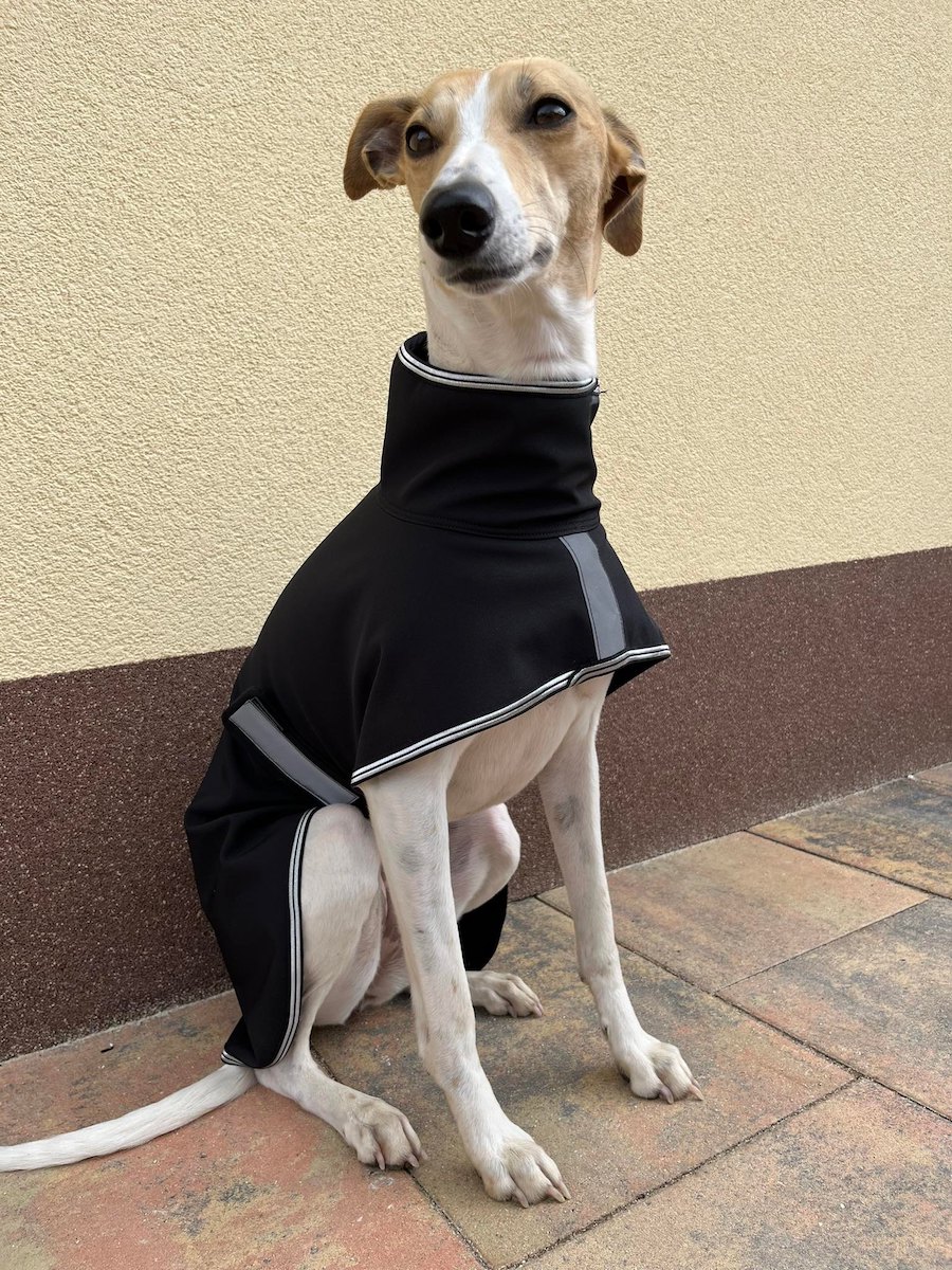 Náhled ProChrta.cz Softshellová bunda SILVER 100 cm