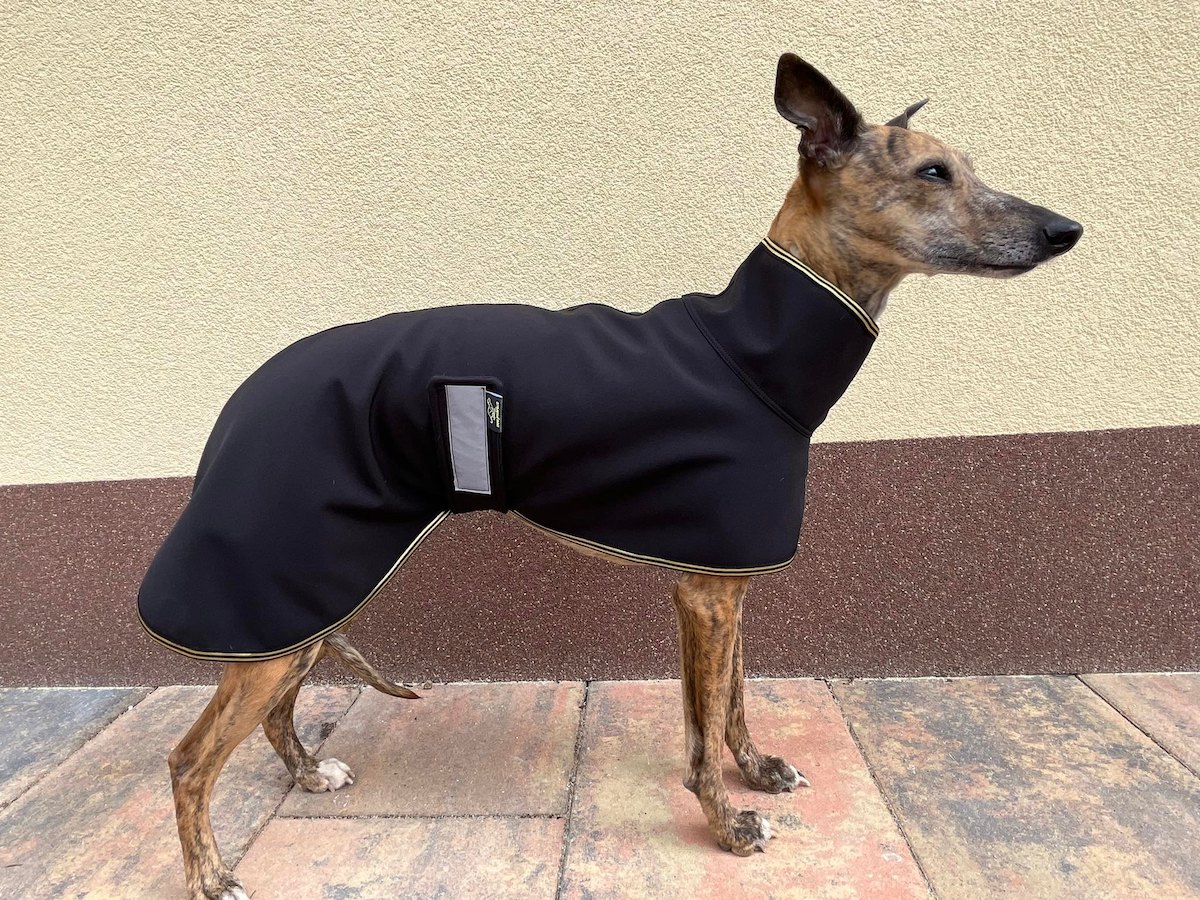 Náhled ProChrta.cz Softshellová bunda GOLD 38 cm