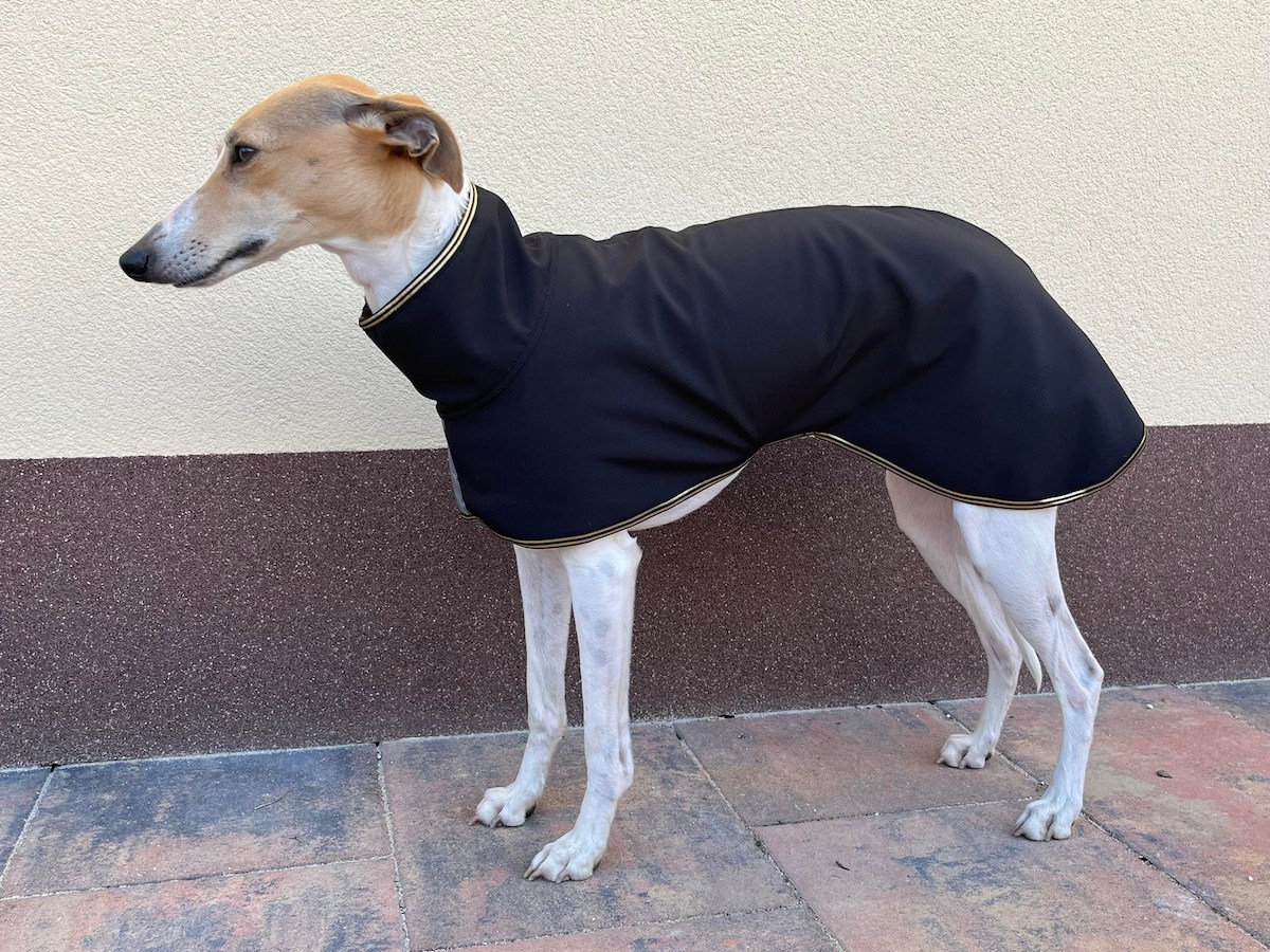 Náhled ProChrta.cz Softshellová bunda GOLD 45 cm