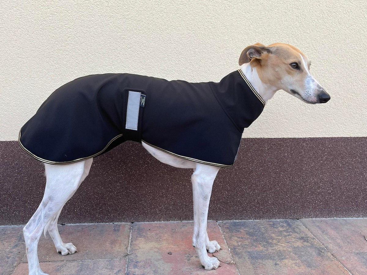 Náhled ProChrta.cz Softshellová bunda GOLD 60 cm