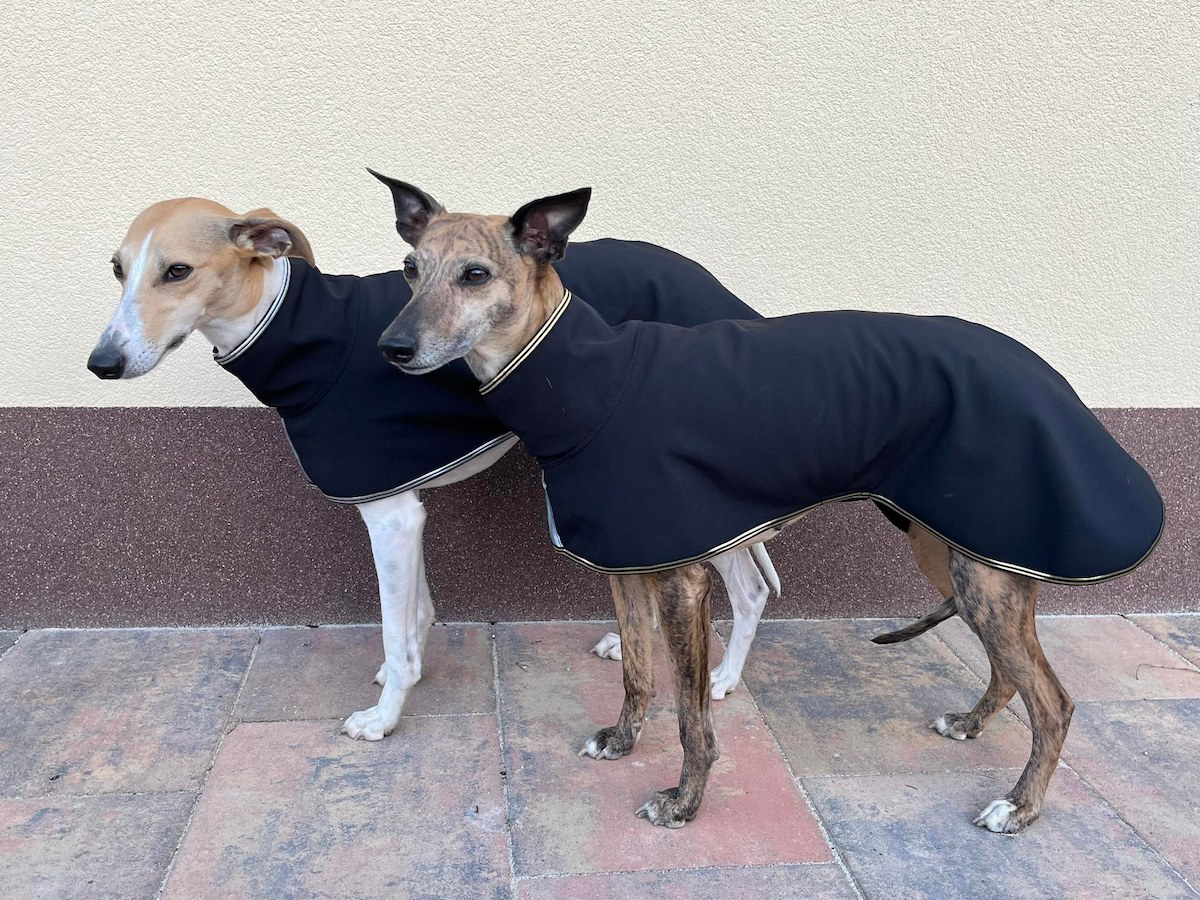 Náhled ProChrta.cz Softshellová bunda GOLD 90 cm