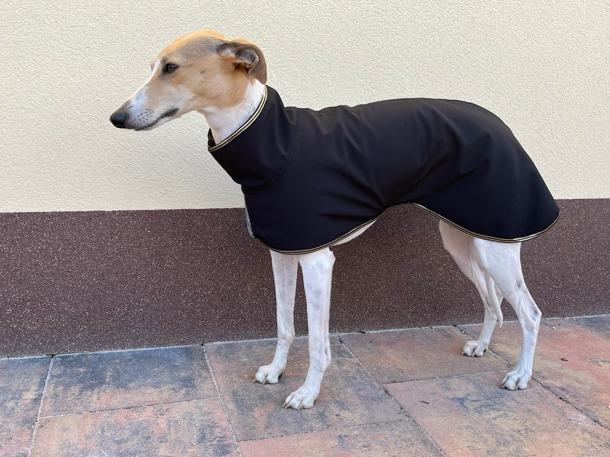 Náhled ProChrta.cz Softshellová bunda GOLD 90 cm