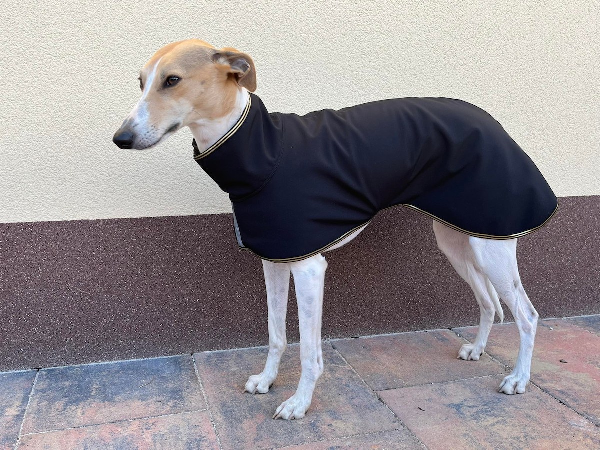 Náhled ProChrta.cz Softshellová bunda GOLD 95 cm