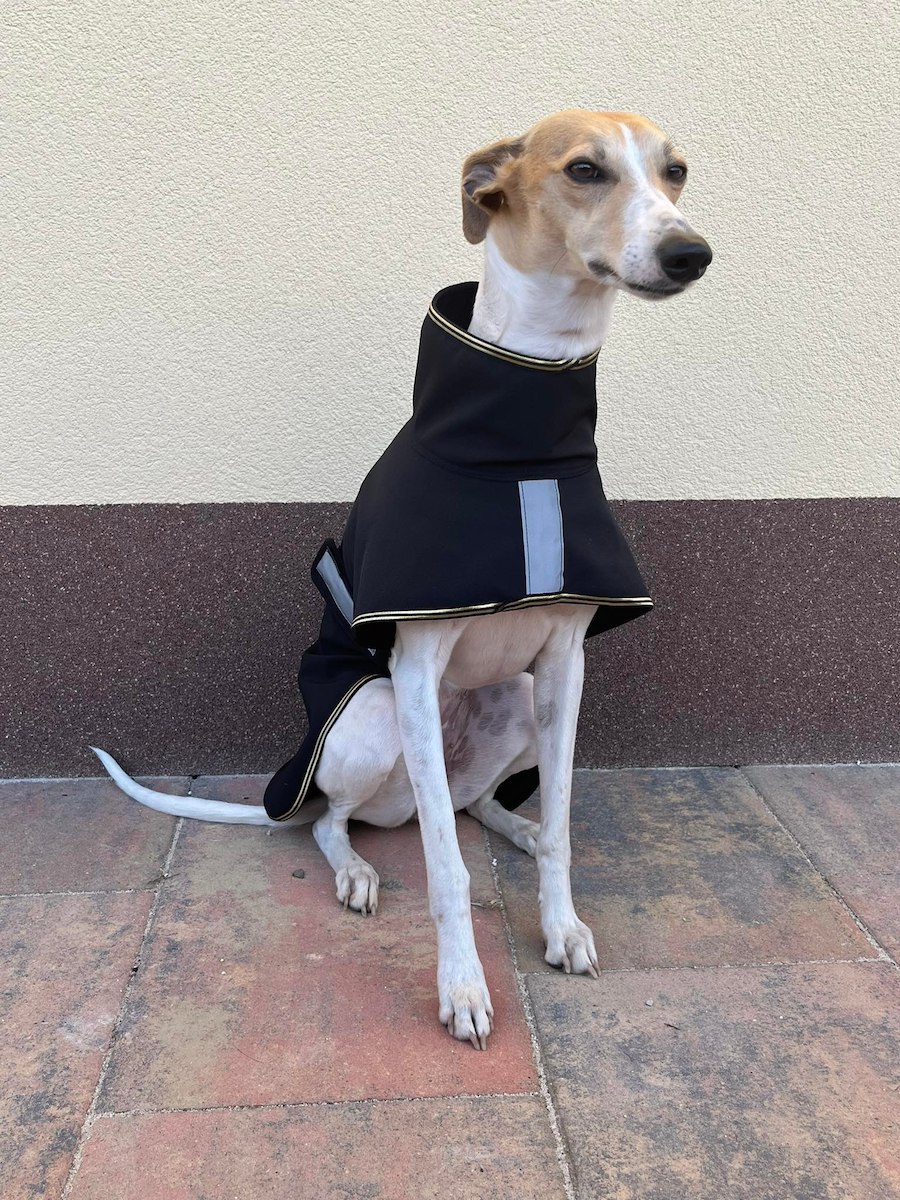 Náhled ProChrta.cz Softshellová bunda GOLD 100 cm