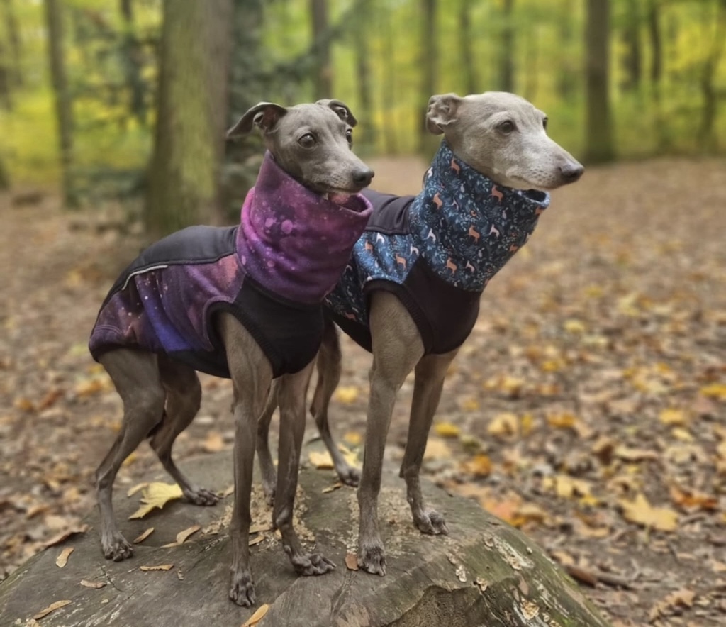 Náhled ProChrta.cz Svetr FOREST DEER