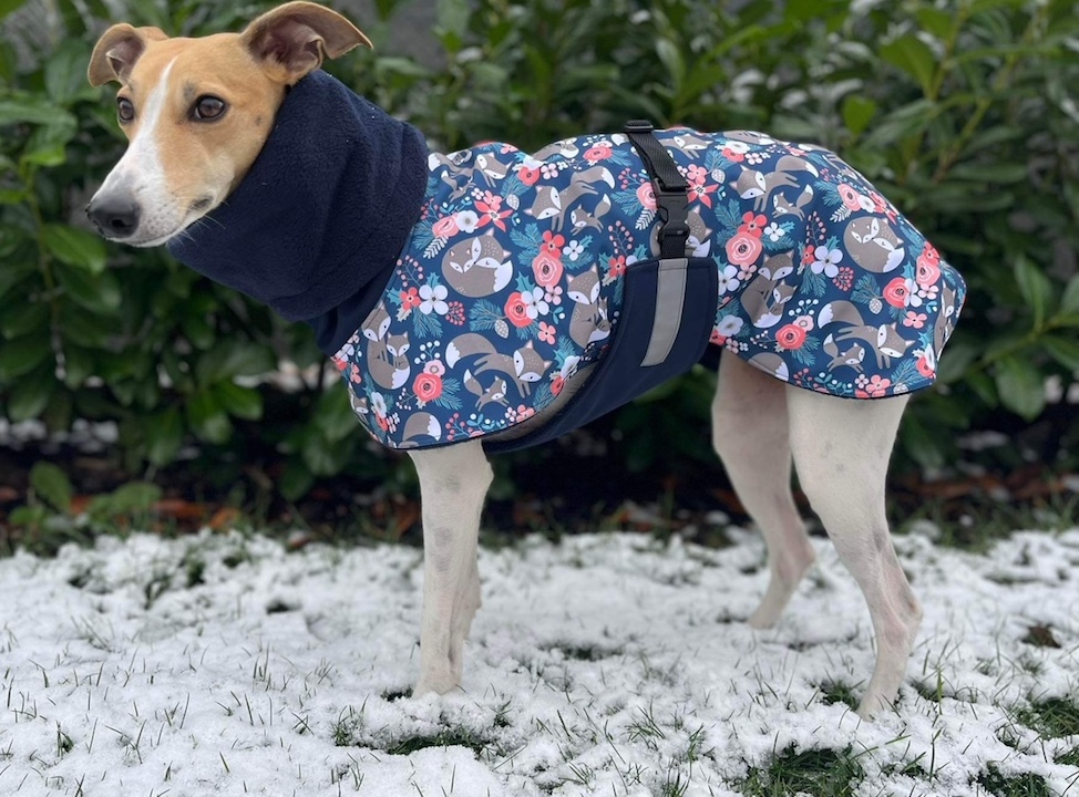 Náhled ProChrta.cz Bunda zimní softshell LIŠTIČKA 38 cm