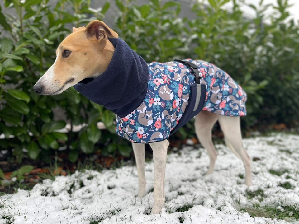 Náhled ProChrta.cz Bunda zimní softshell LIŠTIČKA 38 cm